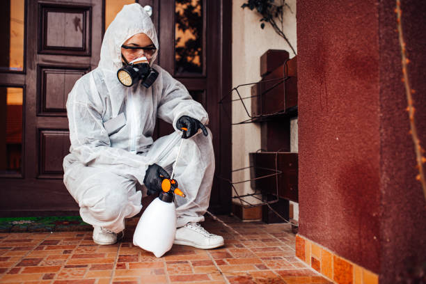 Reliable Wasp Removal contractor in Springville, UT by Show Me Pest Control